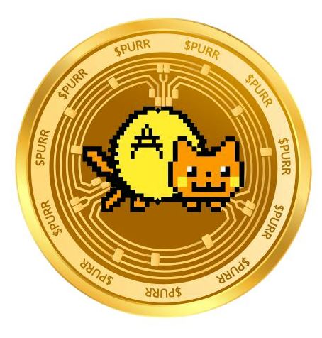 ELON’S CAT token artwork