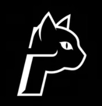 paidcat token artwork